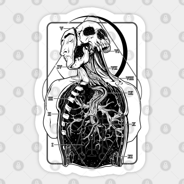 Atypical Anatomy Sticker by Von Kowen